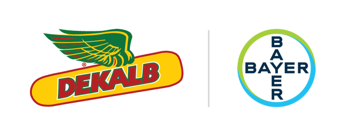 DEKALB / Bayer