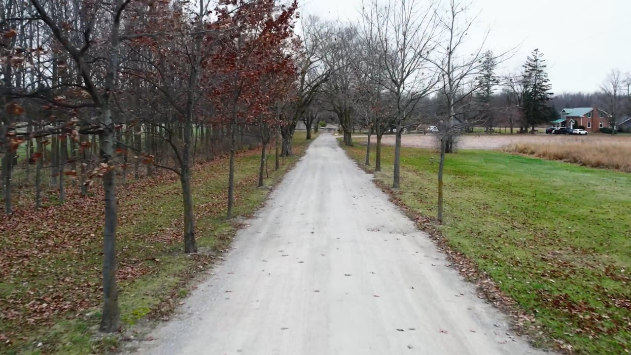 A rural lane leading to a farmhouse