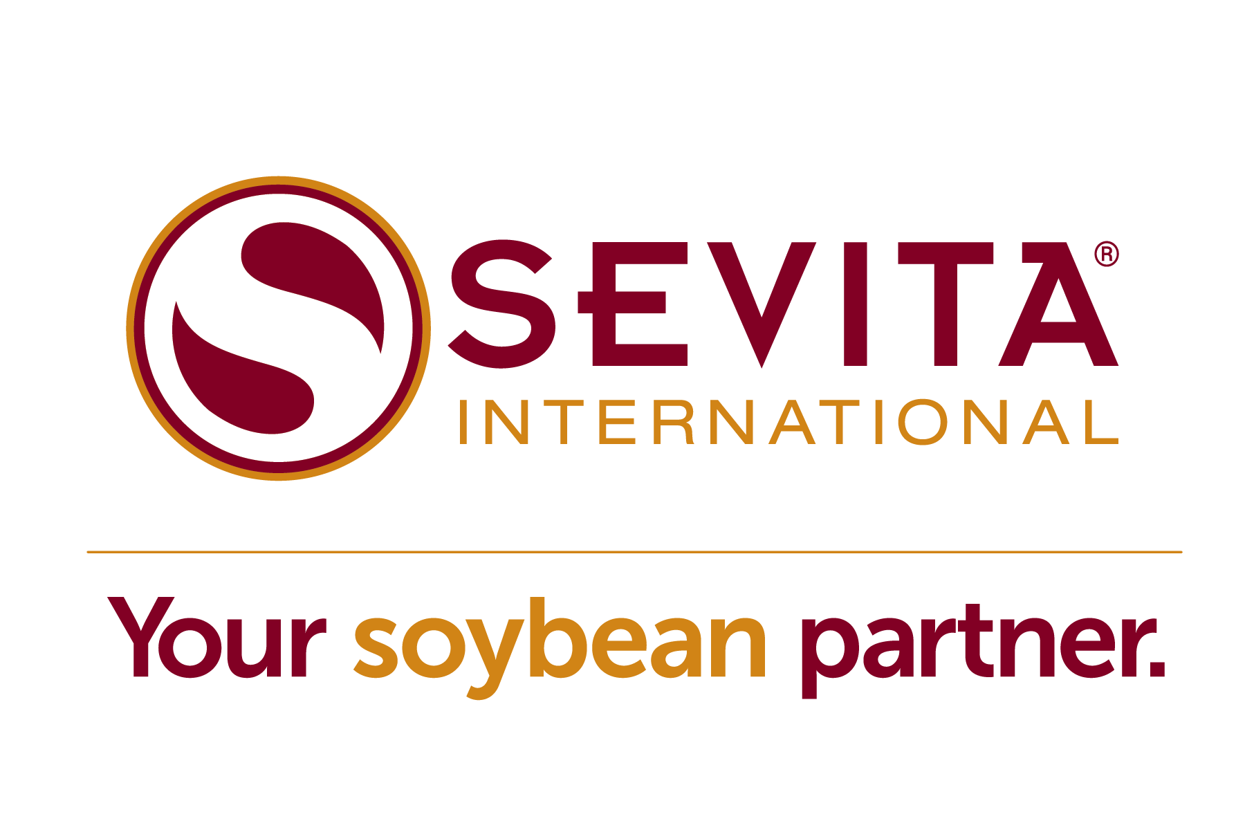 Sevita International Logo